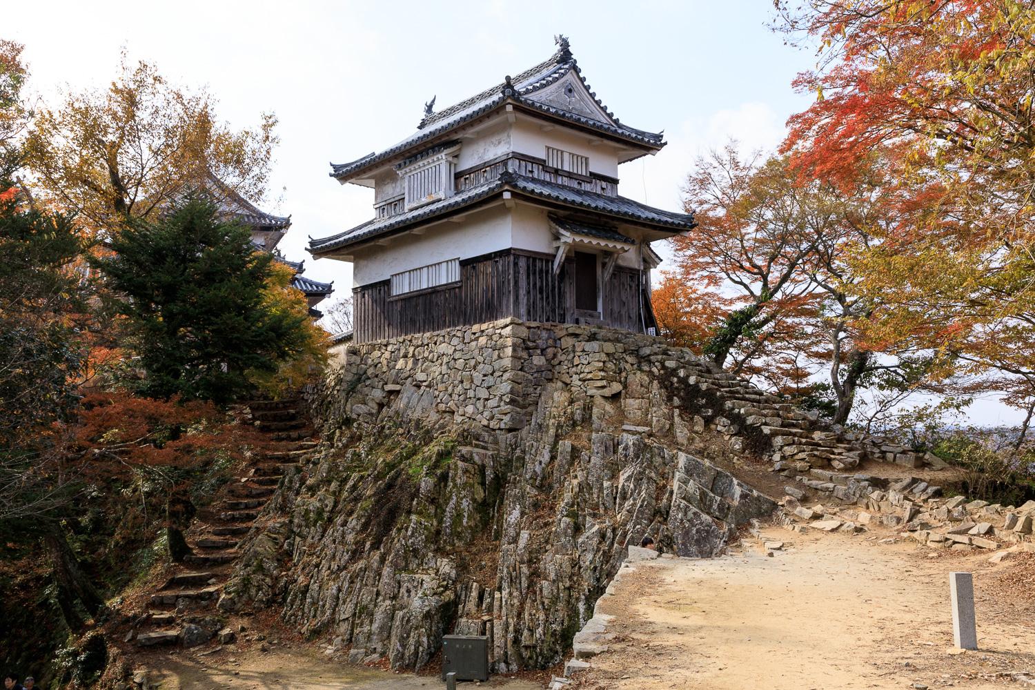 ダミーイメージ