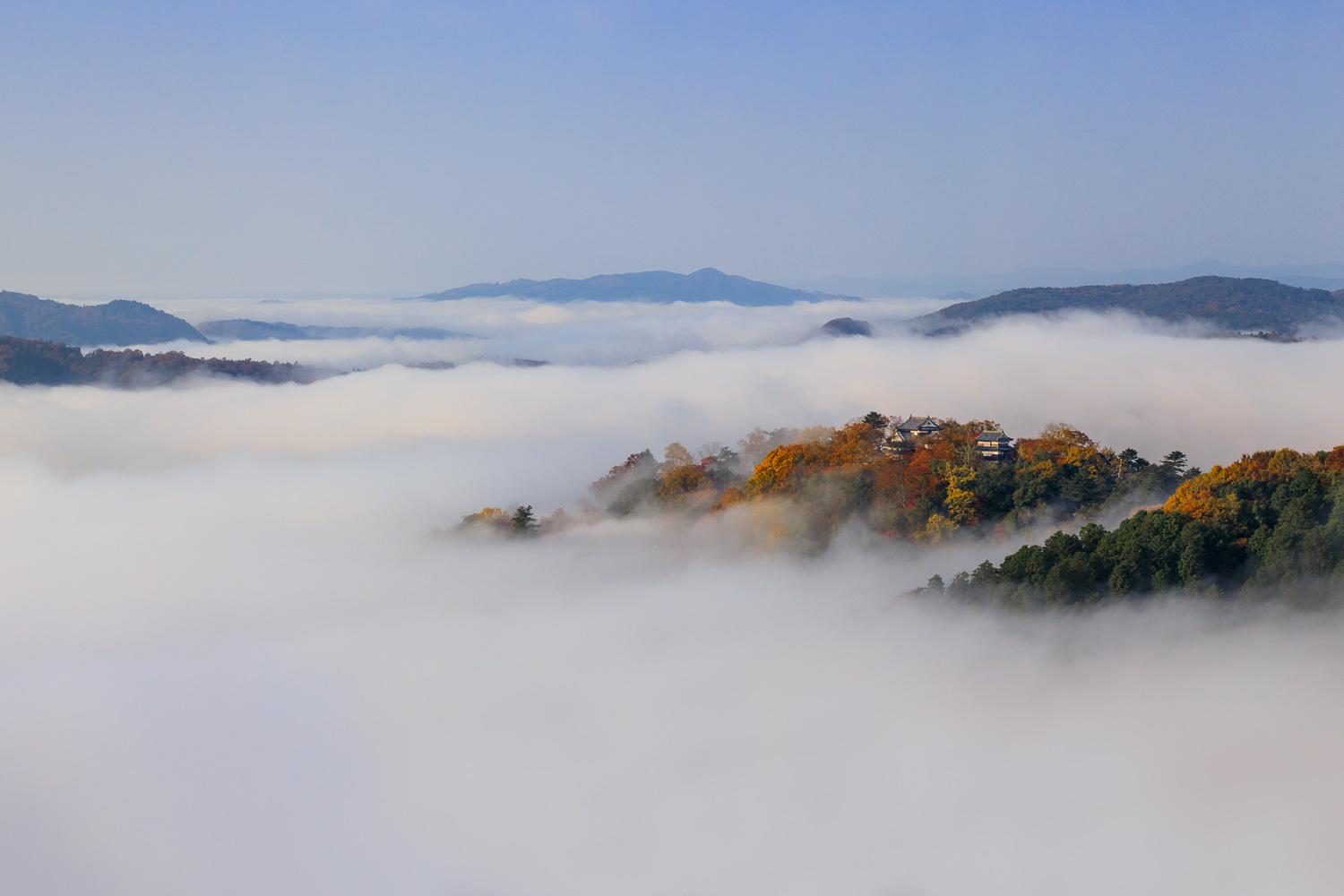 ダミーイメージ