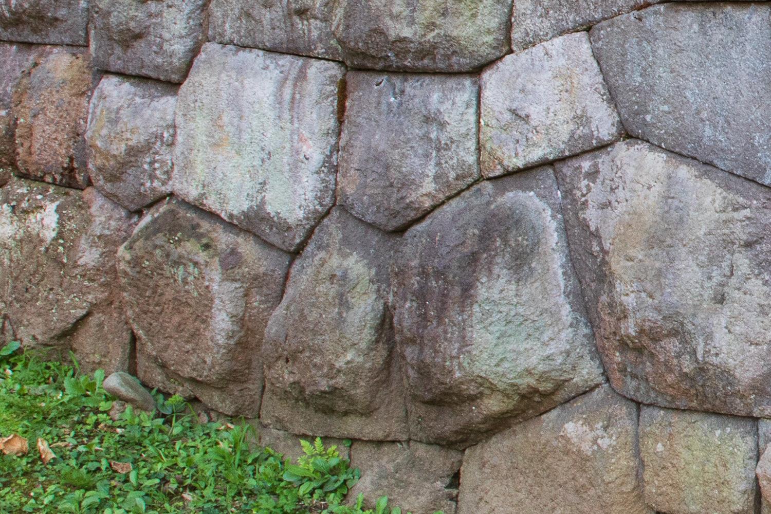 ダミーイメージ