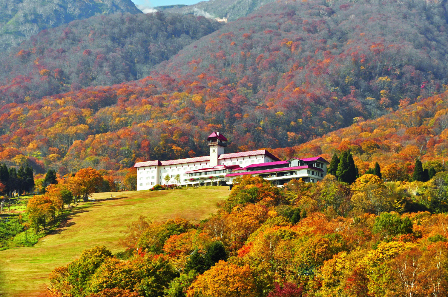 ダミーイメージ