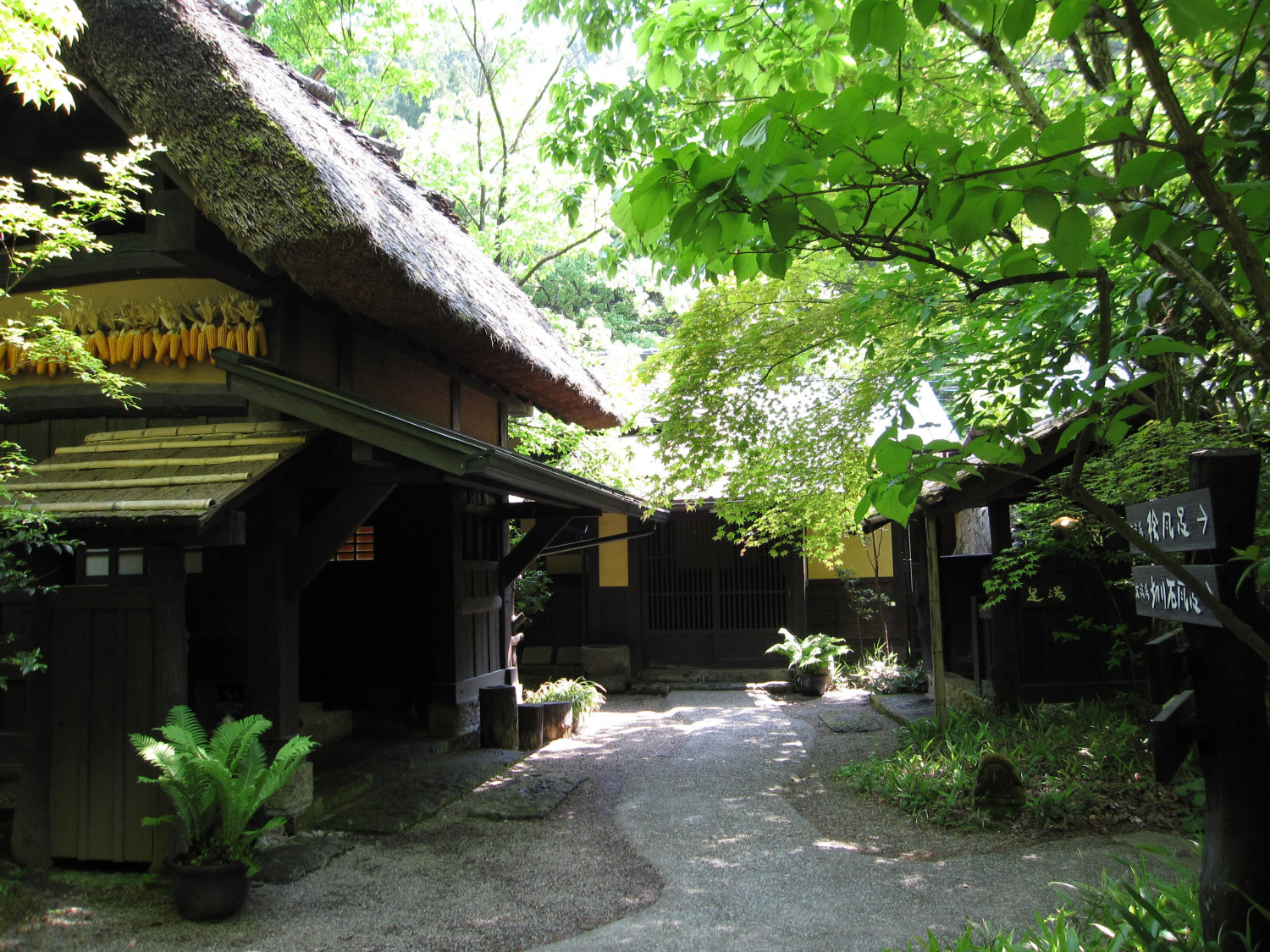 ダミーイメージ