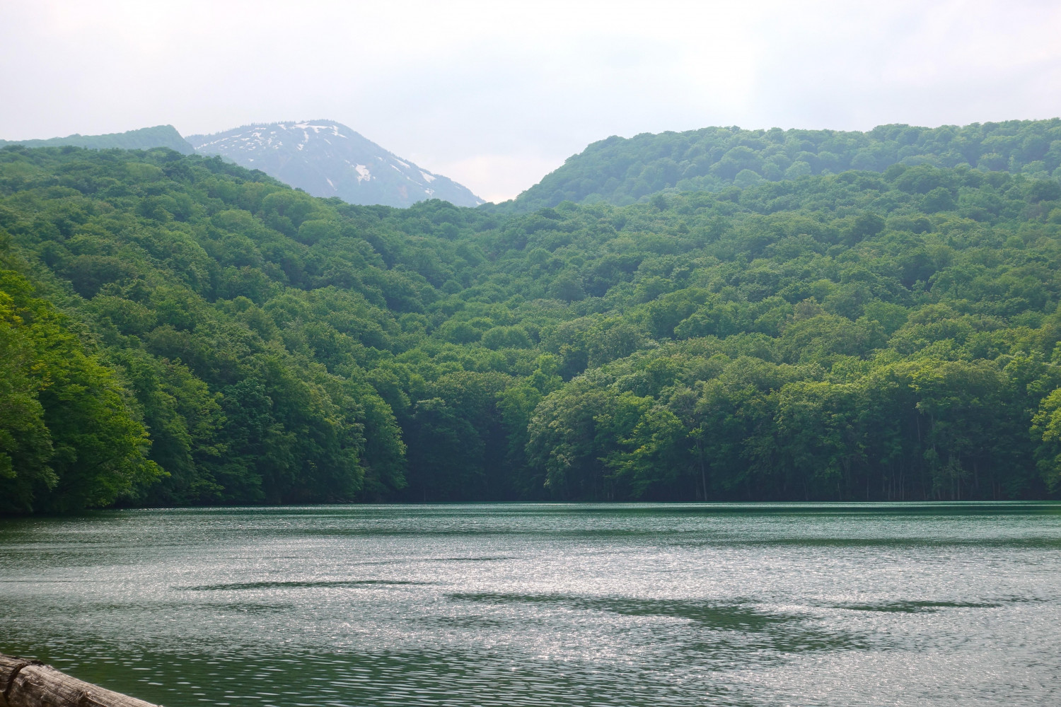 ダミーイメージ