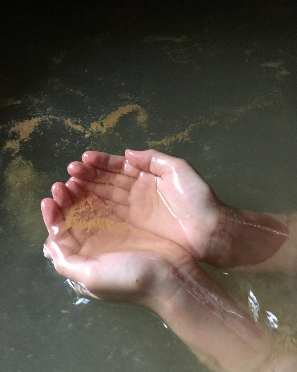 ダミーイメージ