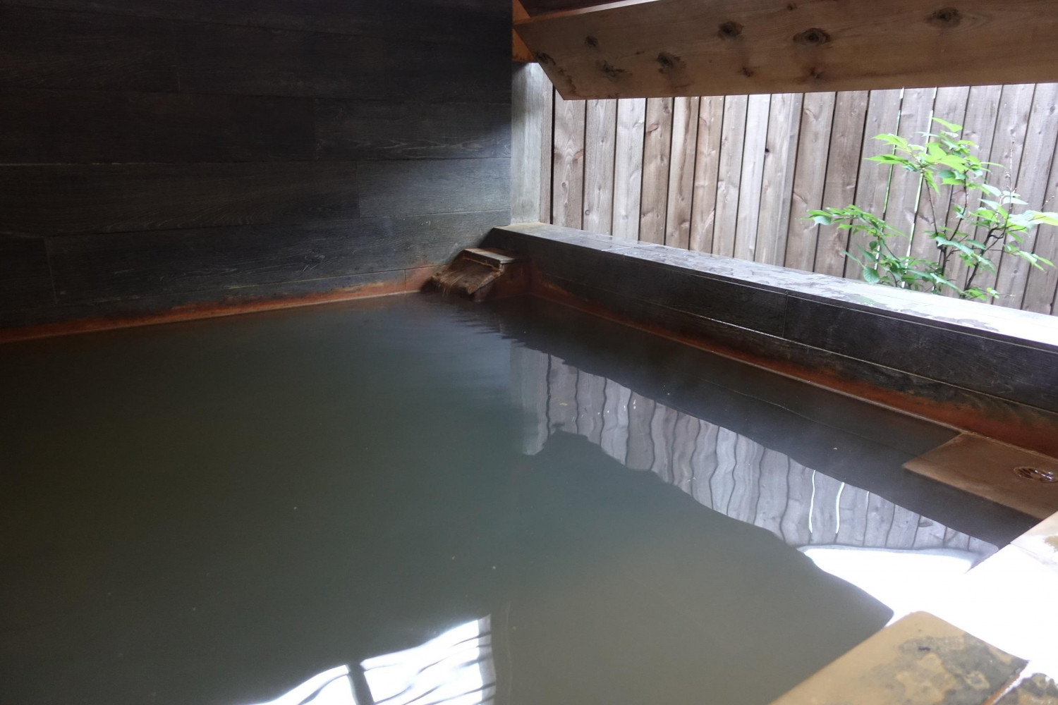 ダミーイメージ