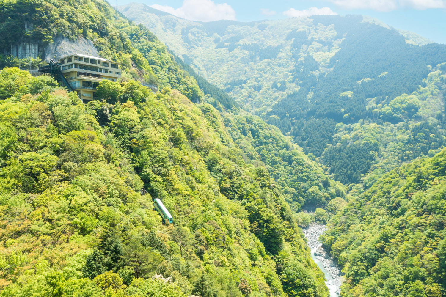 ダミーイメージ