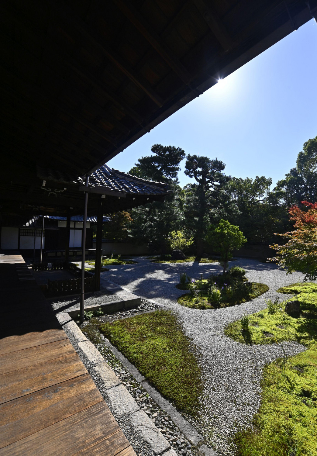 ダミーイメージ