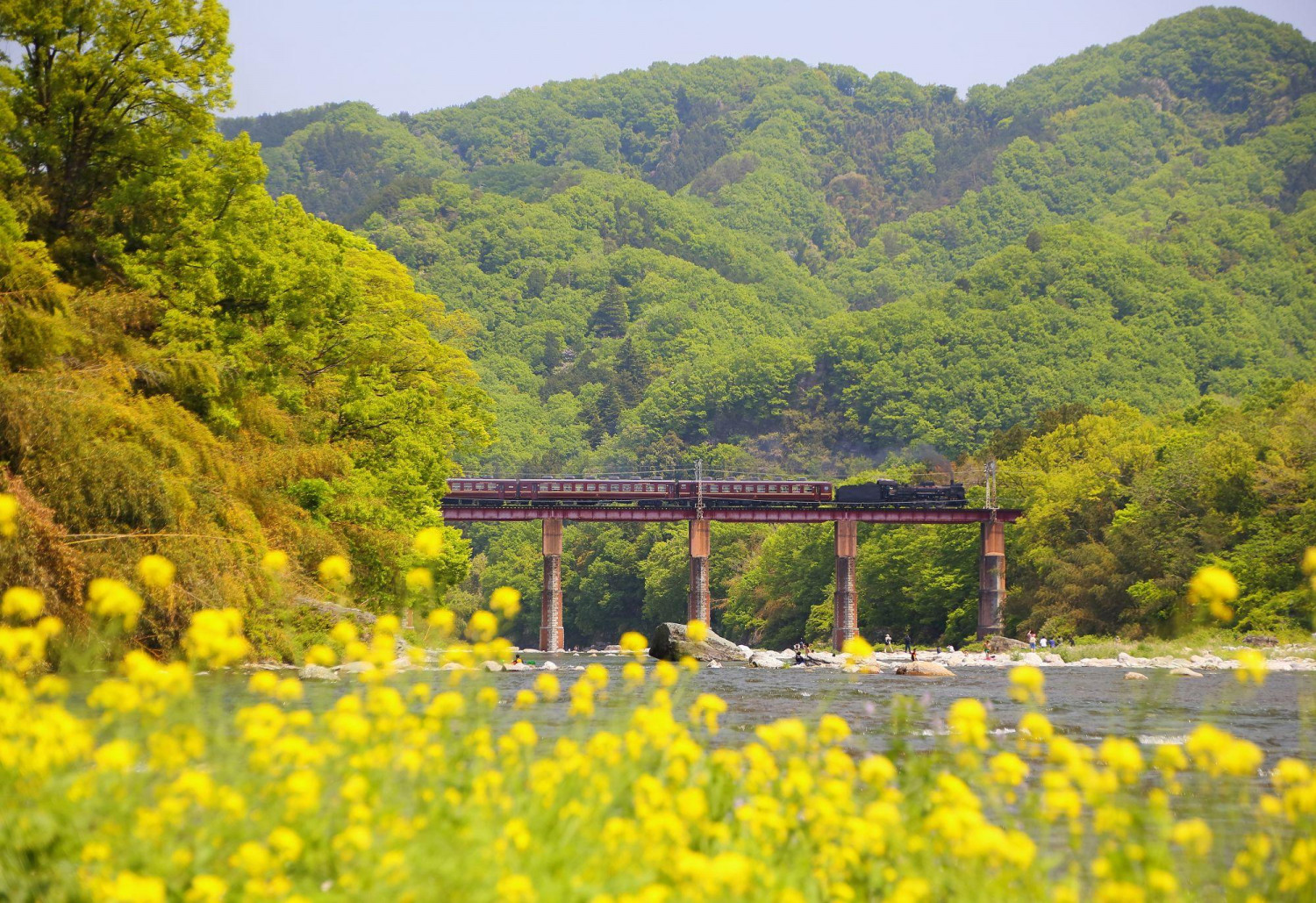 ダミーイメージ