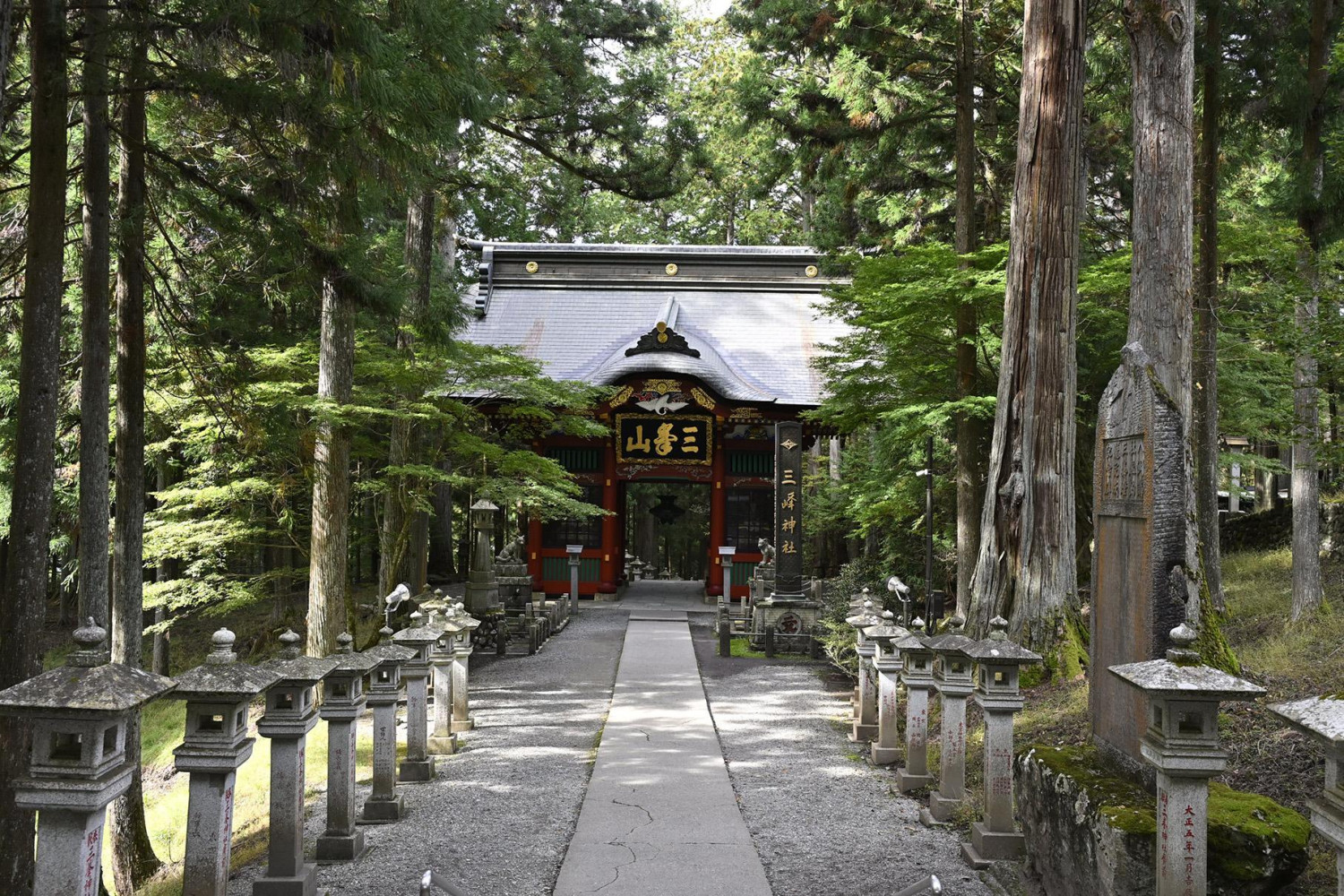 ダミーイメージ