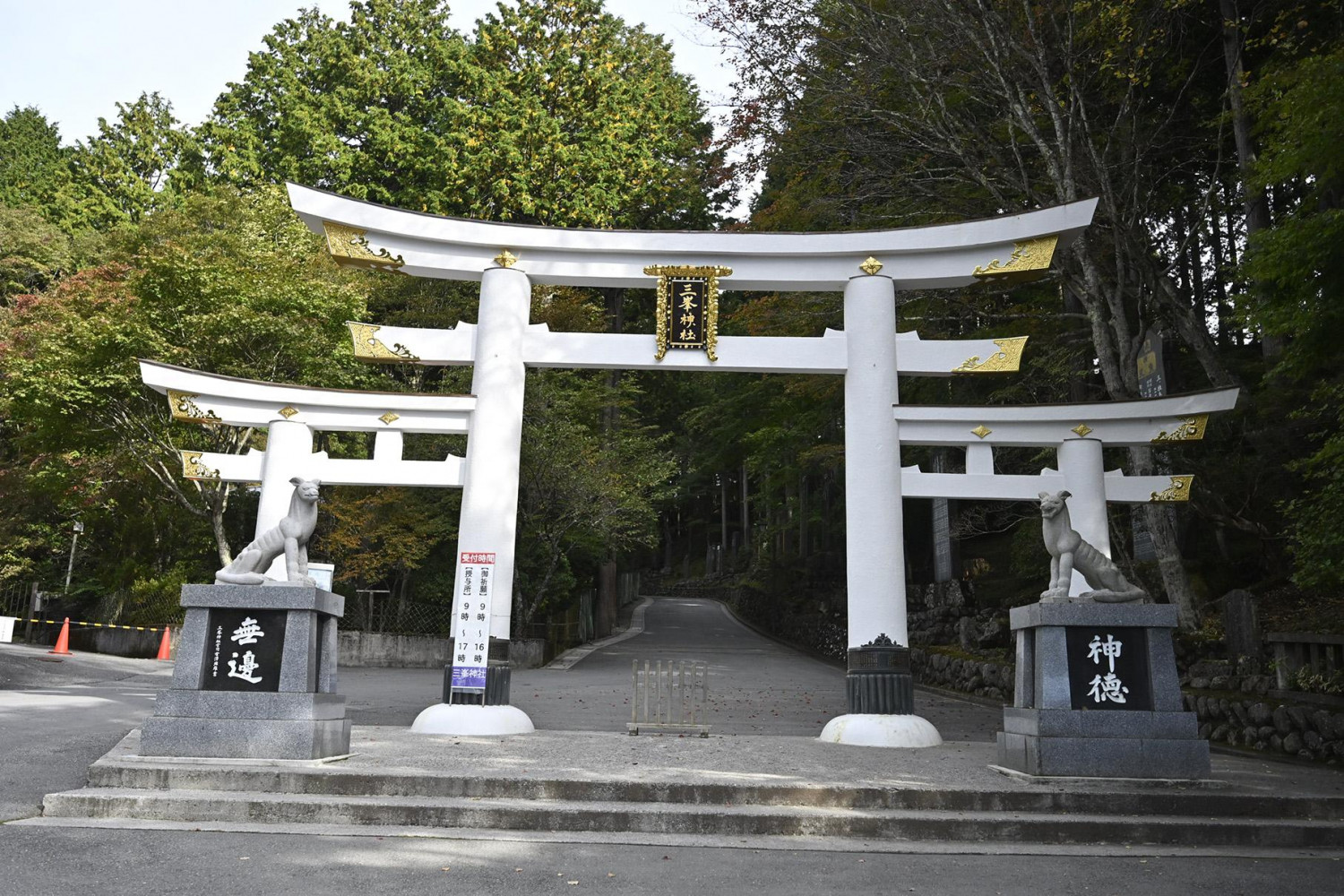 ダミーイメージ