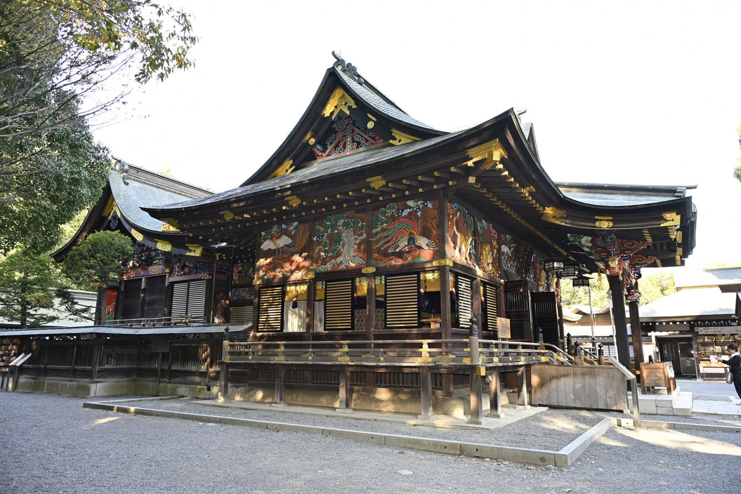 ダミーイメージ