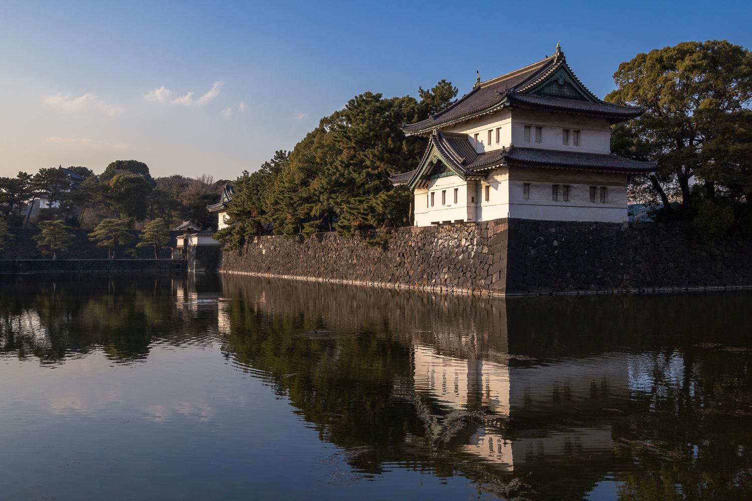 ダミーイメージ