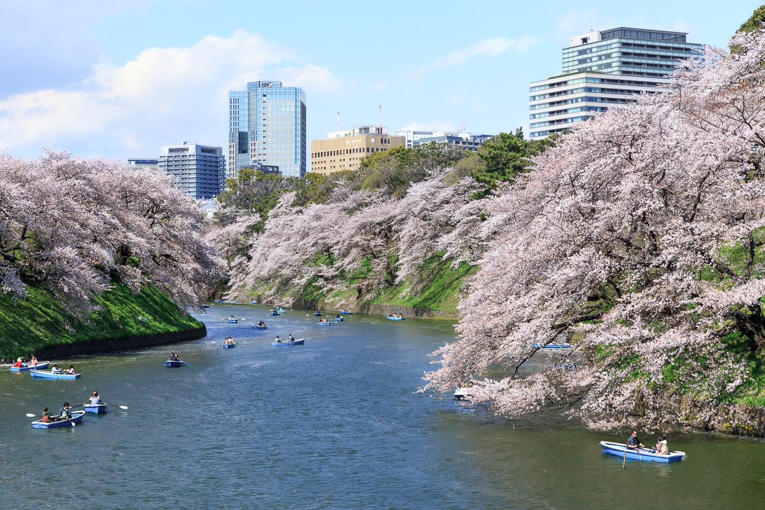 ダミーイメージ