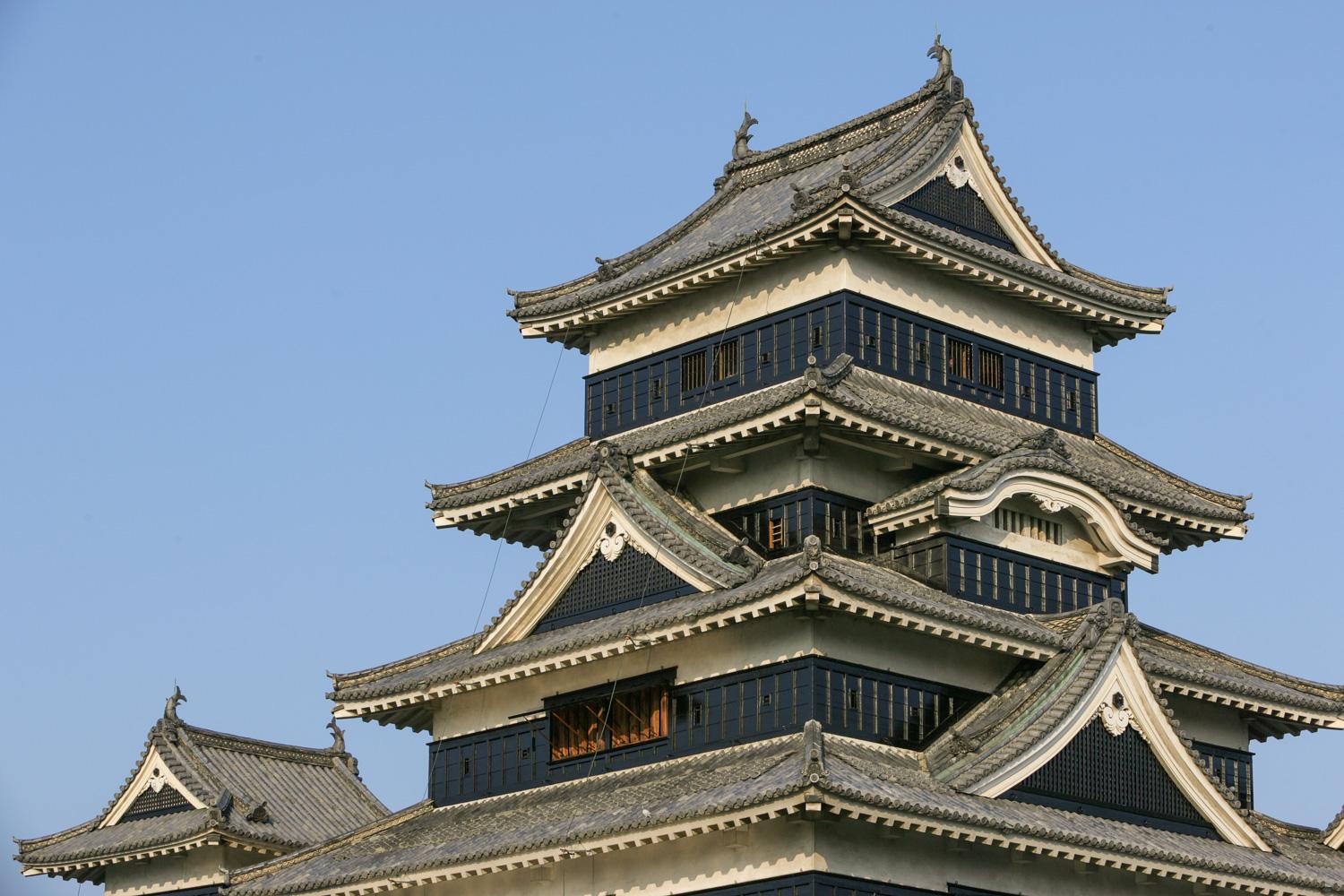 ダミーイメージ