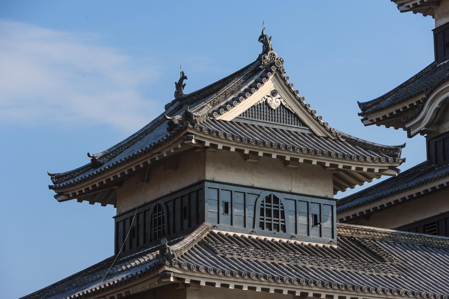 ダミーイメージ