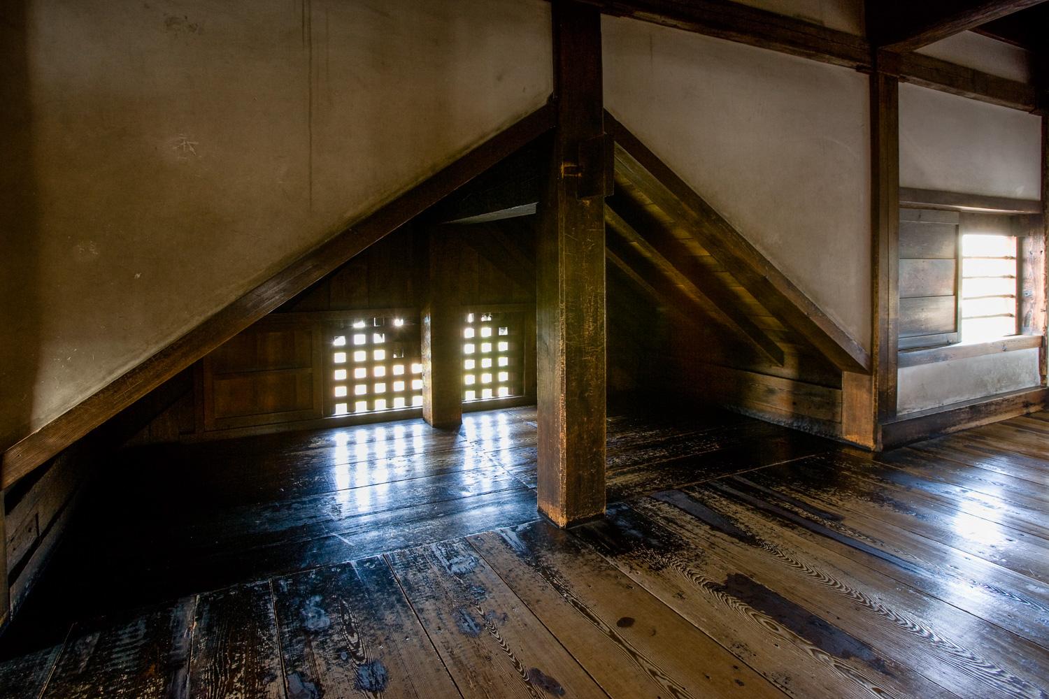 ダミーイメージ