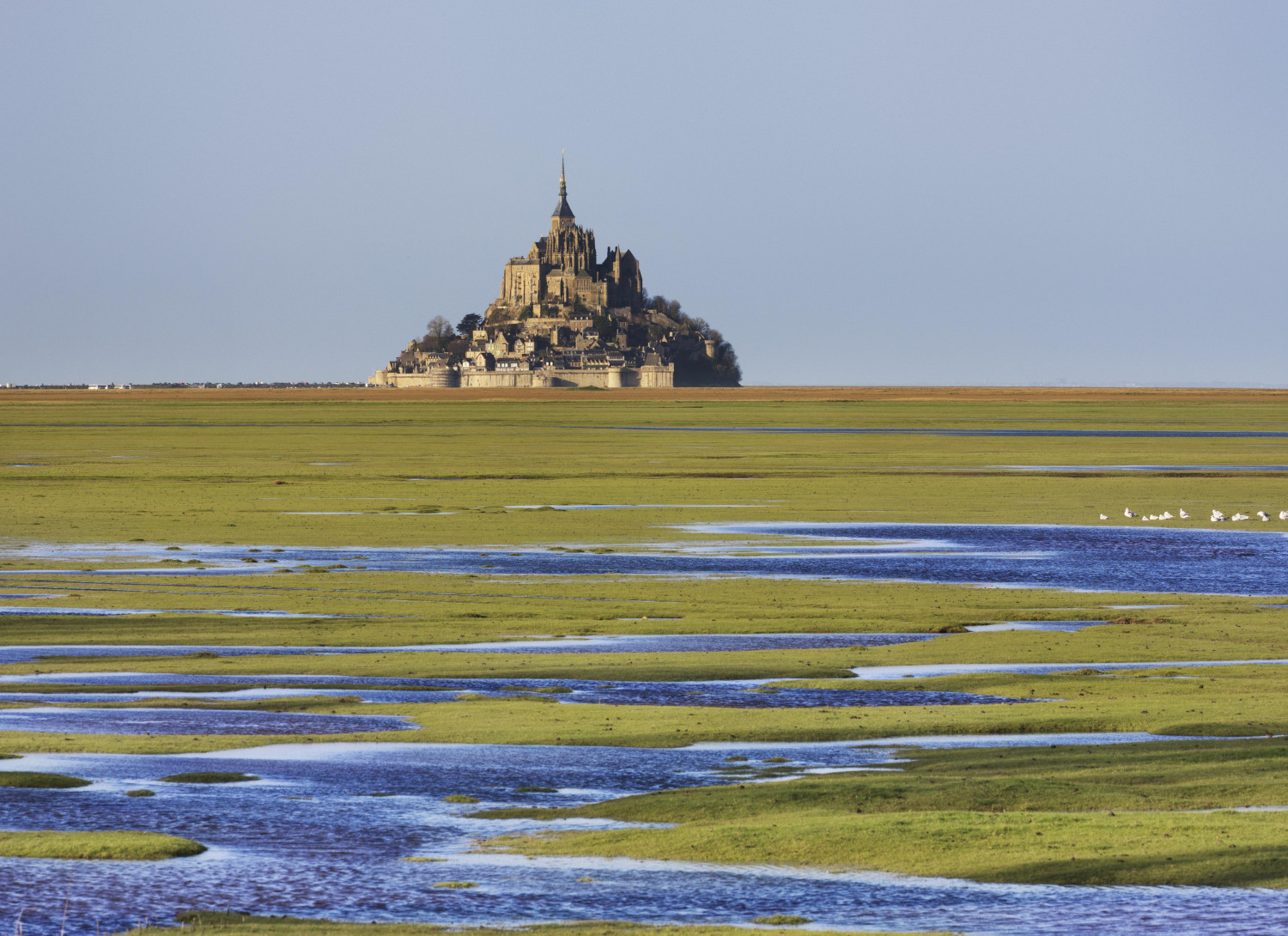 ダミーイメージ